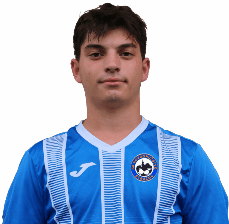 Novák Dominik