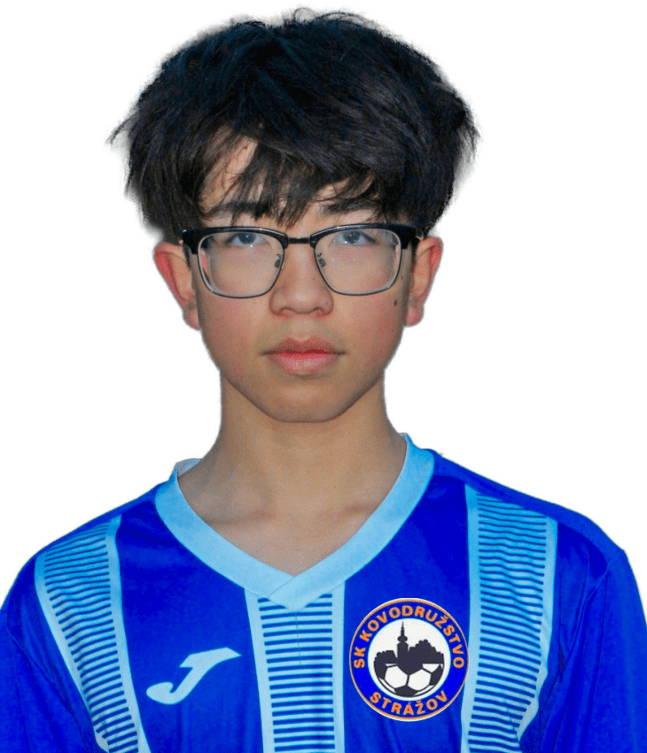Chu Hoang Long