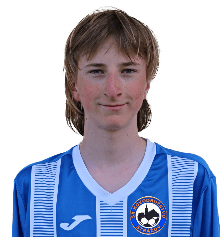Liška Dominik