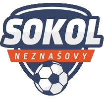 Sokol Neznašovy